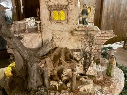 2025_orient_604LM_02